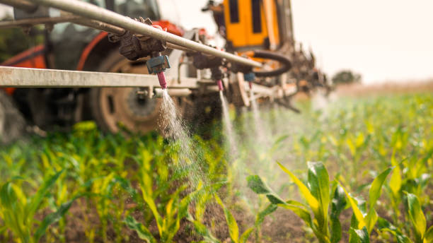 Best Pest Prevention Services  in Prairie Du Chien, WI